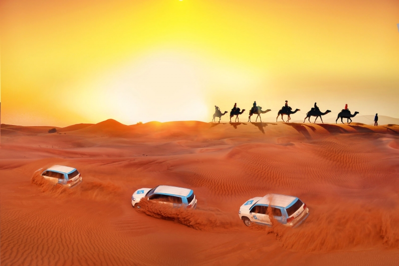 EXCLUSIVE MORNING DESERT SAFARI IN DUBAI